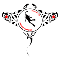 Elearning Beauvais Subaquatique